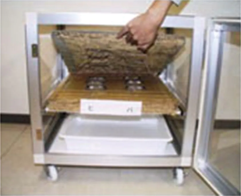 木材によるダニの行動抑制効果の実験の様子 資料 森林総合研究所