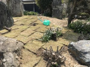 豊田市 外構リフォームで芝生を張ります