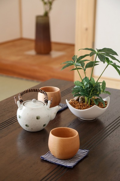 漆喰、4寸角桧柱無垢材の家