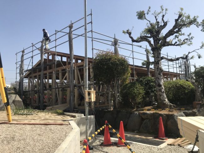 　LDK斜め天井の平家建【工事完了】