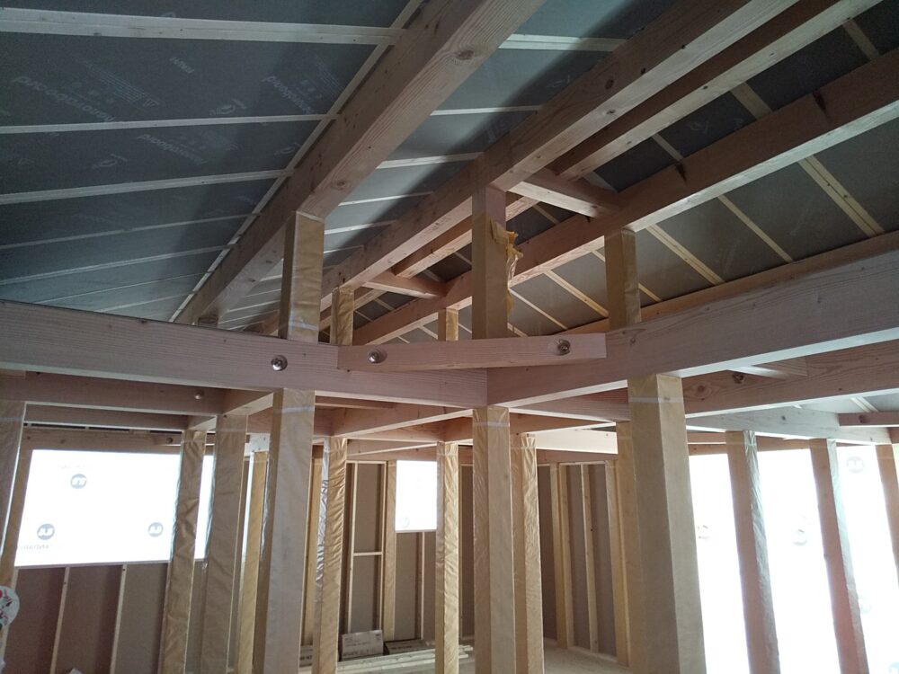 　既設の改修工事+LDK増築 【工事完了】