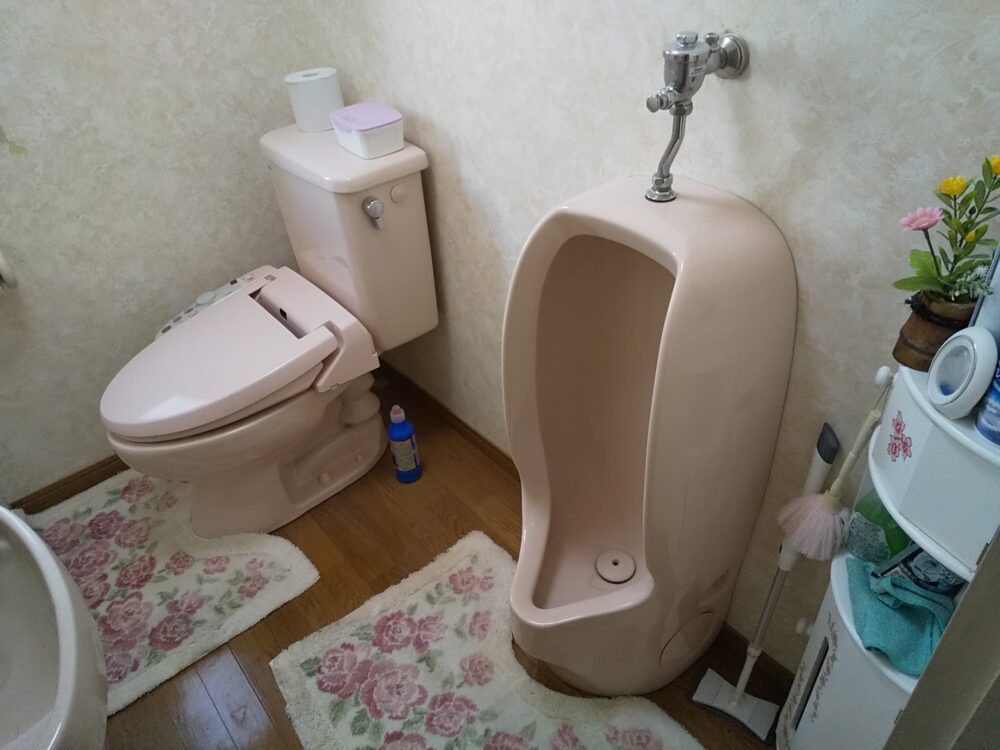 　既設の改修工事+LDK増築 【工事完了】