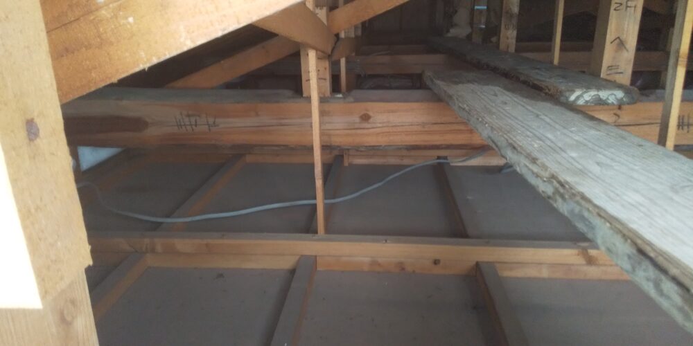 　外壁変更から内部の改修を伴う大規模改修工事