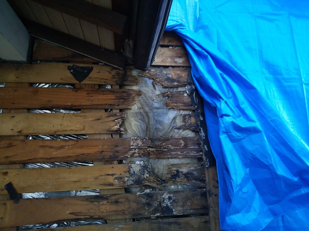 　外壁変更から内部の改修を伴う大規模改修工事