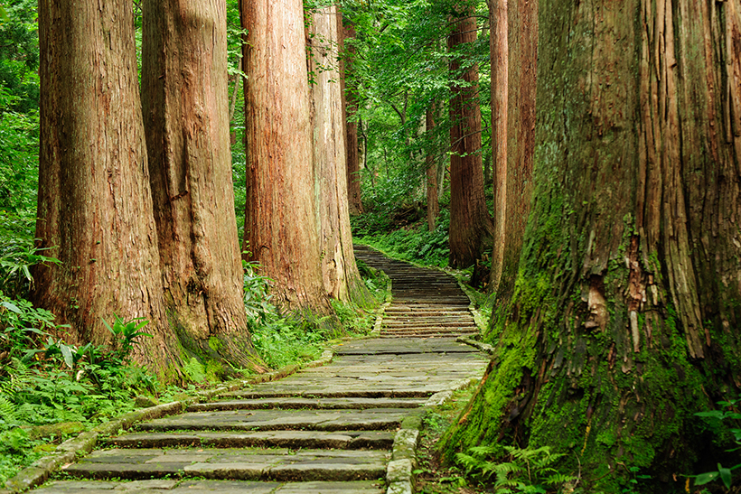 中垣建設のZEH対応住宅 自然素材×高性能
