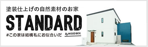 愛知県豊田市・みよし市のローコスト住宅・狭小地住宅の塗装仕上げの家